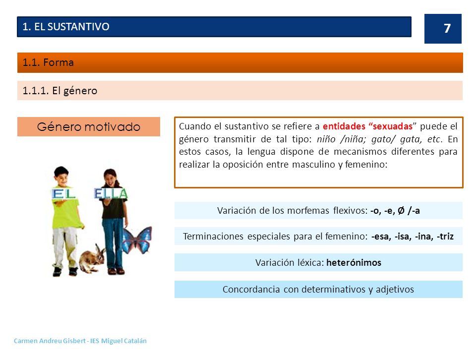 1. EL SUSTANTIVO 1.1. Forma El género Género motivado