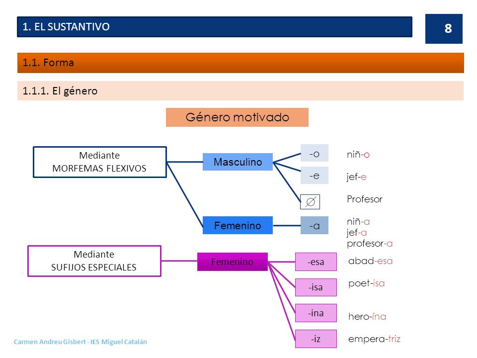 1. EL SUSTANTIVO 1.1. Forma El género Género motivado Mediante