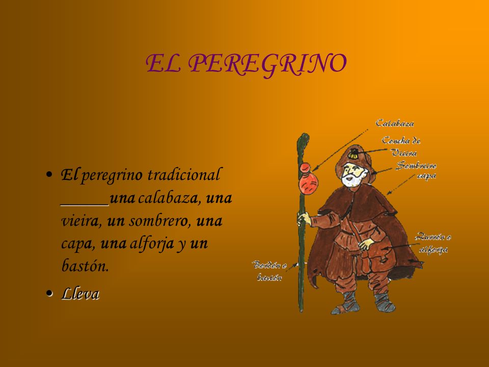 EL PEREGRINO El peregrino tradicional _____una calabaza, una vieira, un sombrero, una capa, una alforja y un bastón.