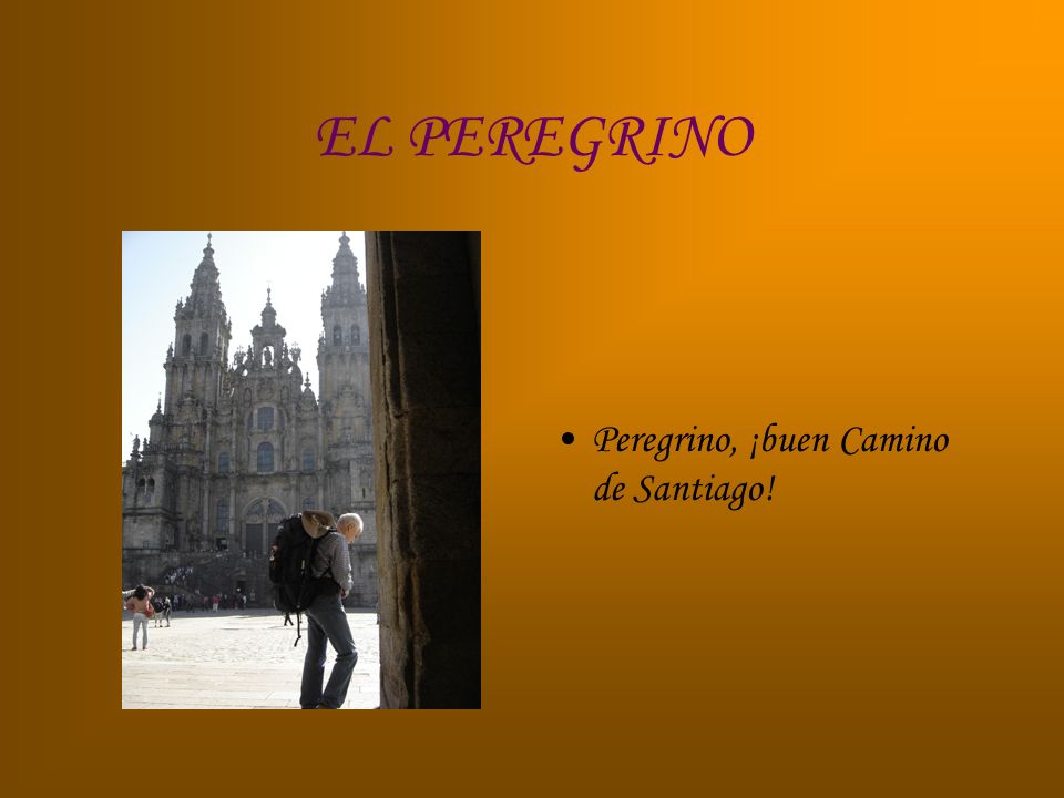 EL PEREGRINO Peregrino, ¡buen Camino de Santiago!