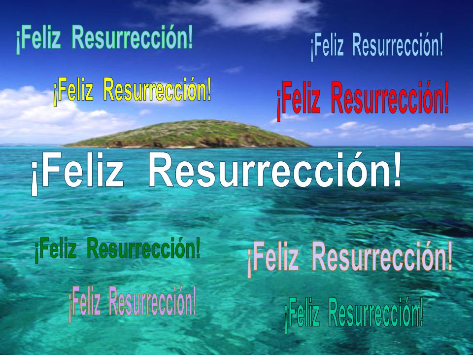 ¡Feliz Resurrección! ¡Feliz Resurrección! ¡Feliz Resurrección! ¡Feliz Resurrección! ¡Feliz Resurrección!
