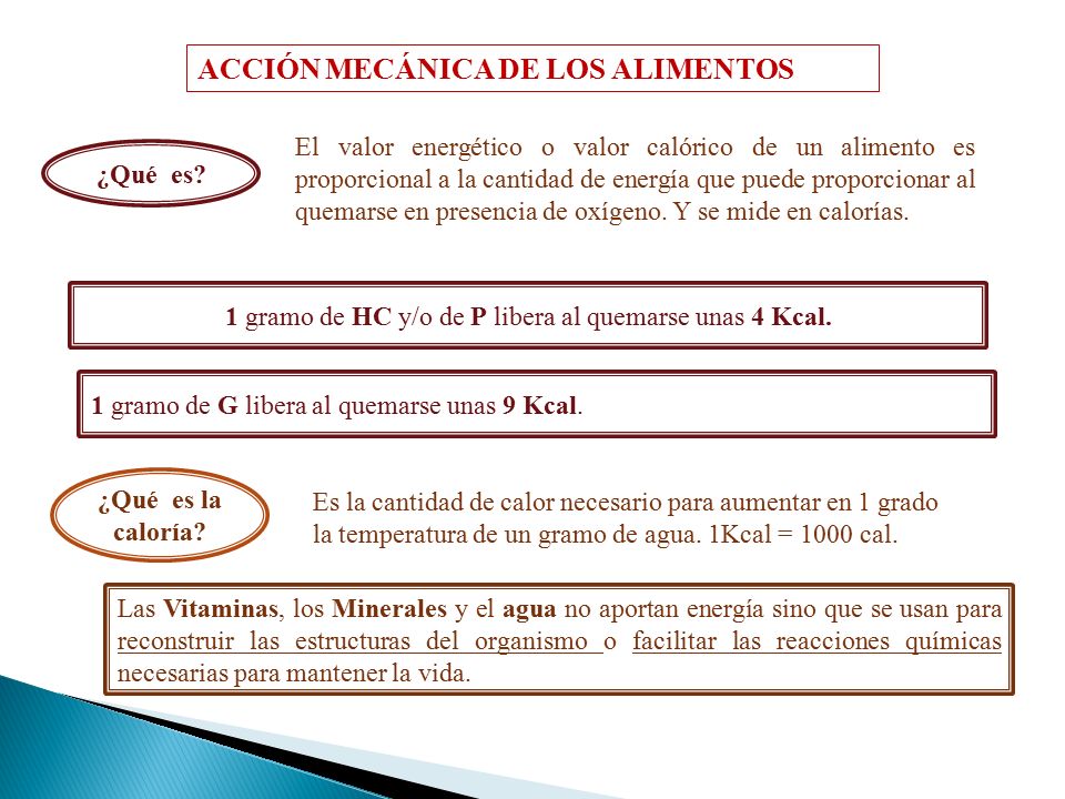 1 gramo de HC y/o de P libera al quemarse unas 4 Kcal.