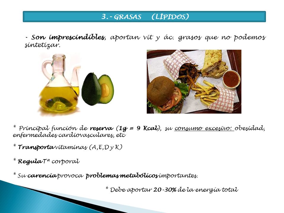 3.- GRASAS (LÍPIDOS) - Son imprescindibles, aportan vit y ác. grasos que no podemos sintetizar.