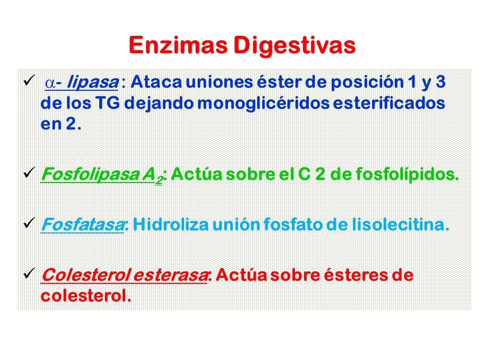Enzimas Digestivas a- lipasa : Ataca uniones éster de posición 1 y 3 de los TG dejando monoglicéridos esterificados en 2.