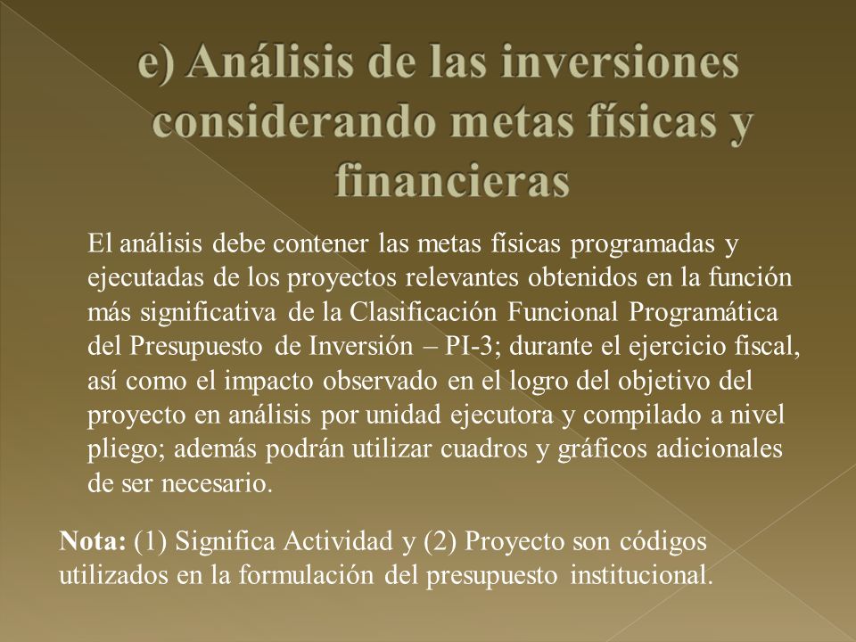 e) Análisis de las inversiones considerando metas físicas y financieras