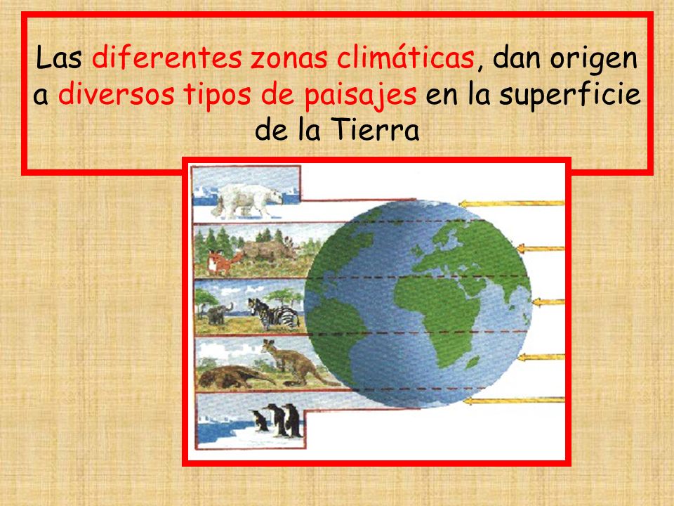 Las diferentes zonas climáticas, dan origen a diversos tipos de paisajes en la superficie de la Tierra