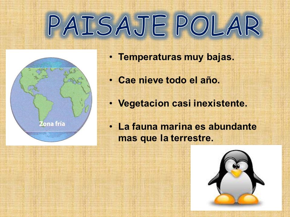 PAISAJE POLAR Temperaturas muy bajas. Cae nieve todo el año.