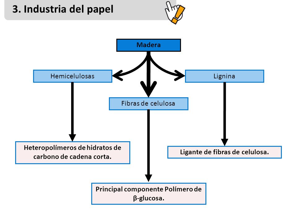 3. Industria del papel Madera Fibras de celulosa Hemicelulosas Lignina