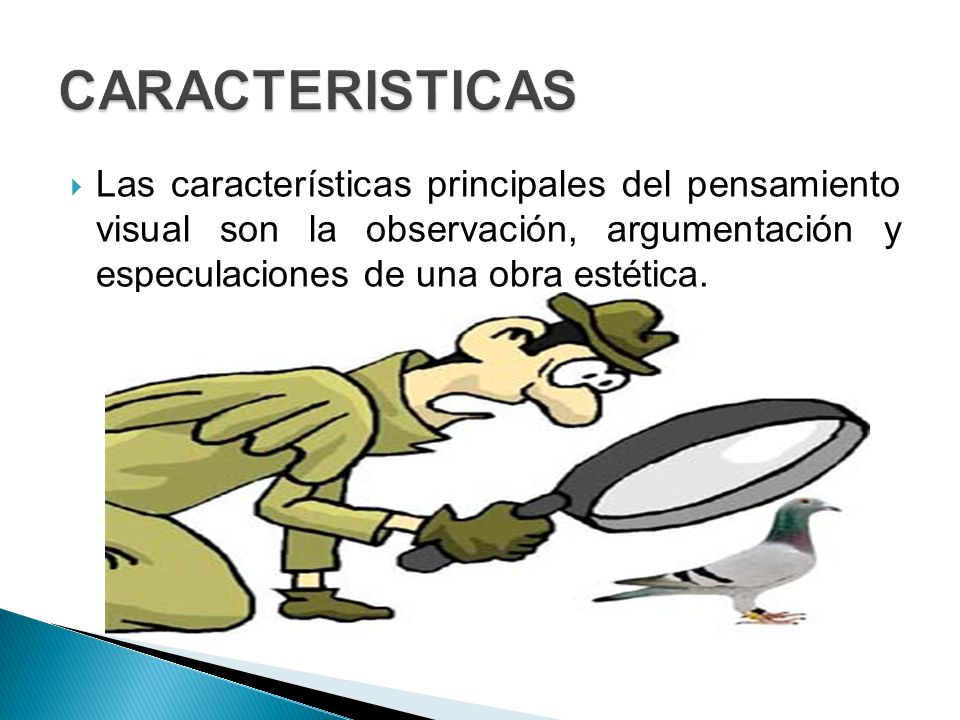CARACTERISTICAS Las características principales del pensamiento visual son la observación, argumentación y especulaciones de una obra estética.