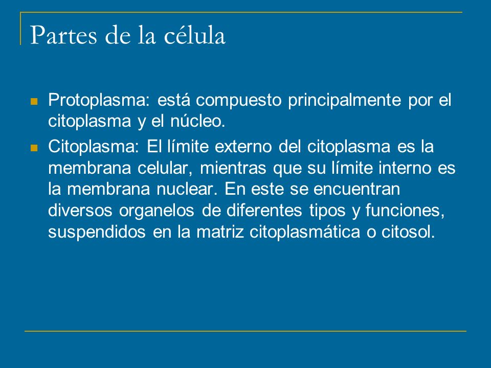 Partes de la célula Protoplasma: está compuesto principalmente por el citoplasma y el núcleo.