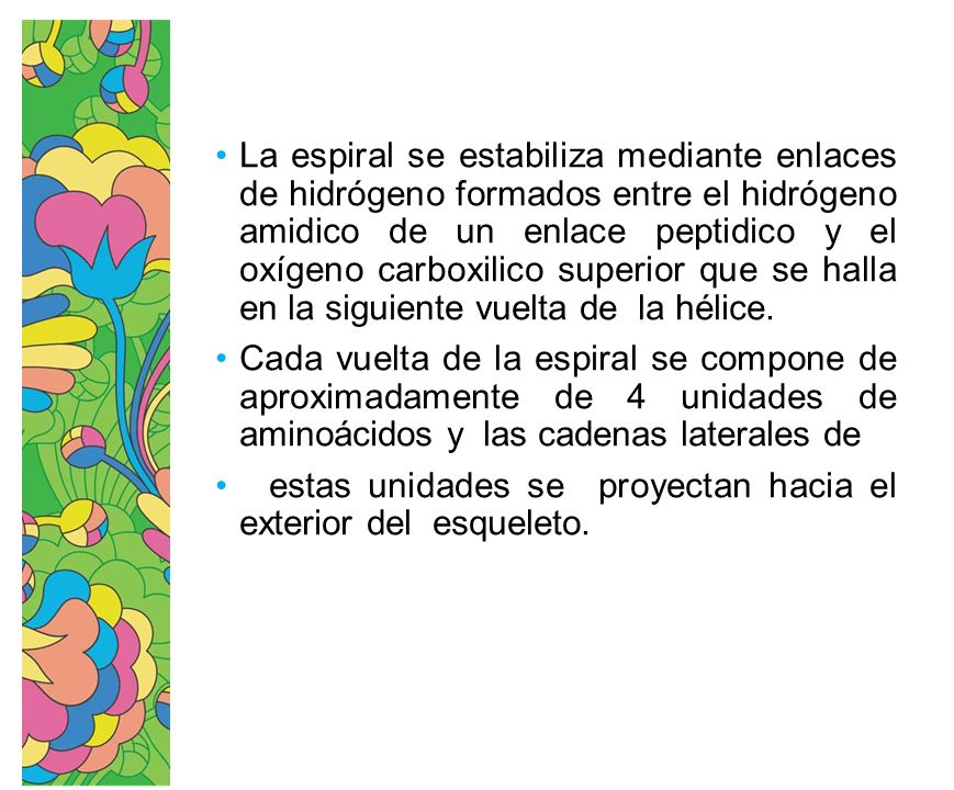 La espiral se estabiliza mediante enlaces de hidrógeno formados entre el hidrógeno amidico de un enlace peptidico y el oxígeno carboxilico superior que se halla en la siguiente vuelta de la hélice.