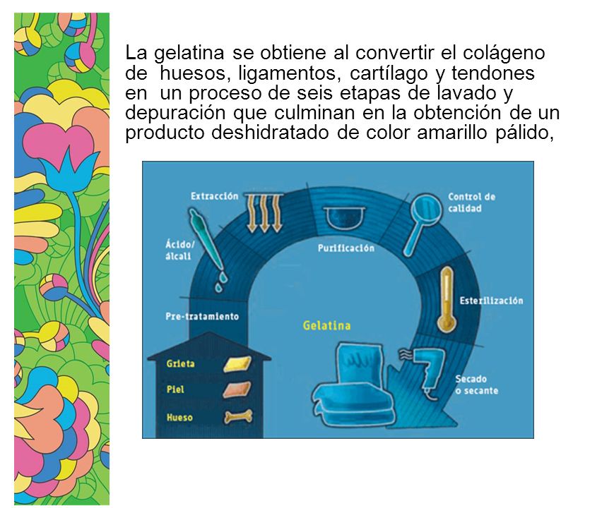 La gelatina se obtiene al convertir el colágeno de huesos, ligamentos, cartílago y tendones en un proceso de seis etapas de lavado y depuración que culminan en la obtención de un producto deshidratado de color amarillo pálido,