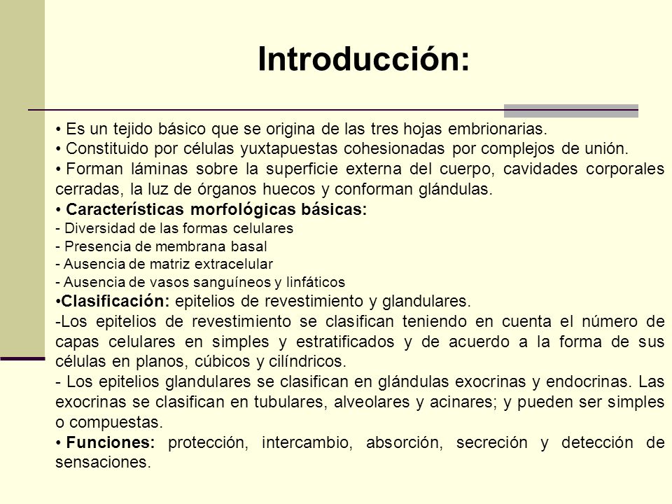 Es un tejido básico que se origina de las tres hojas embrionarias.