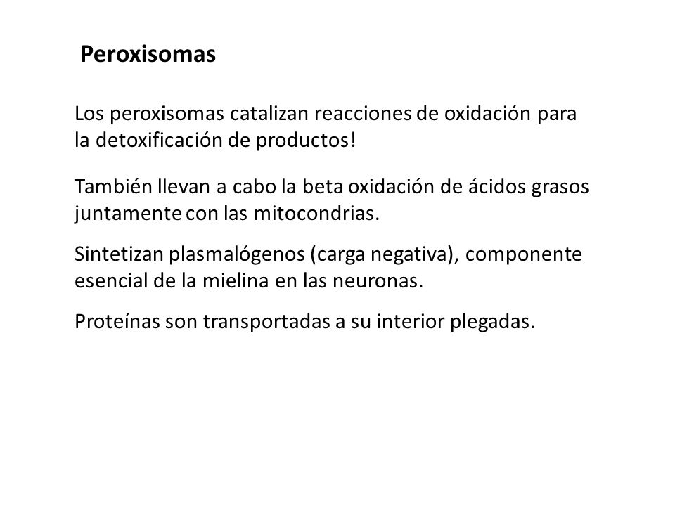 Peroxisomas Los peroxisomas catalizan reacciones de oxidación para la detoxificación de productos!