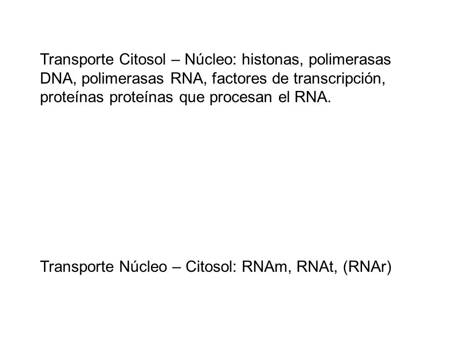 Transporte Citosol – Núcleo: histonas, polimerasas DNA, polimerasas RNA, factores de transcripción, proteínas proteínas que procesan el RNA.