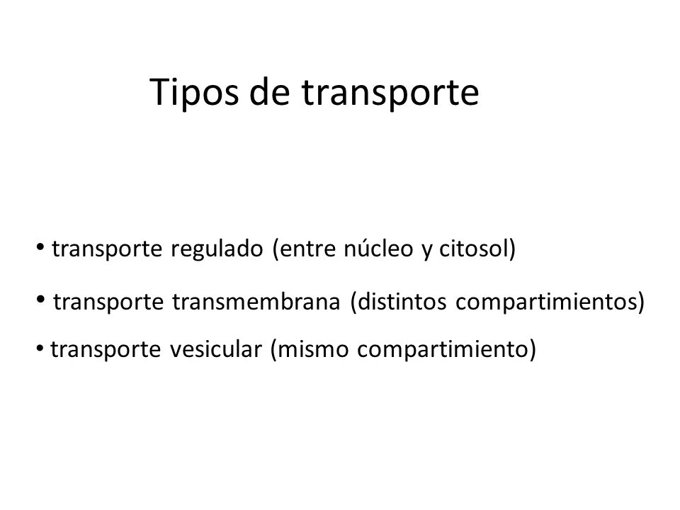 Tipos de transporte transporte regulado (entre núcleo y citosol) transporte transmembrana (distintos compartimientos)