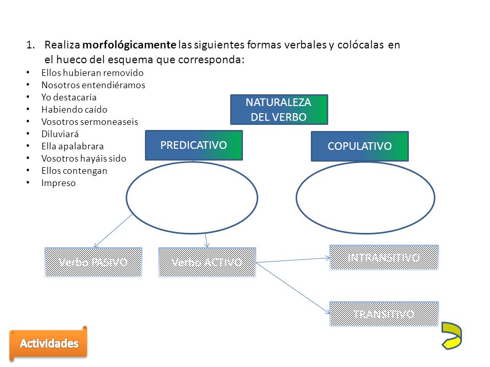 Realiza morfológicamente las siguientes formas verbales y colócalas en el hueco del esquema que corresponda: