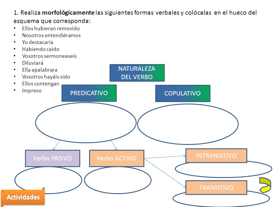 1. Realiza morfológicamente las siguientes formas verbales y colócalas en el hueco del esquema que corresponda: