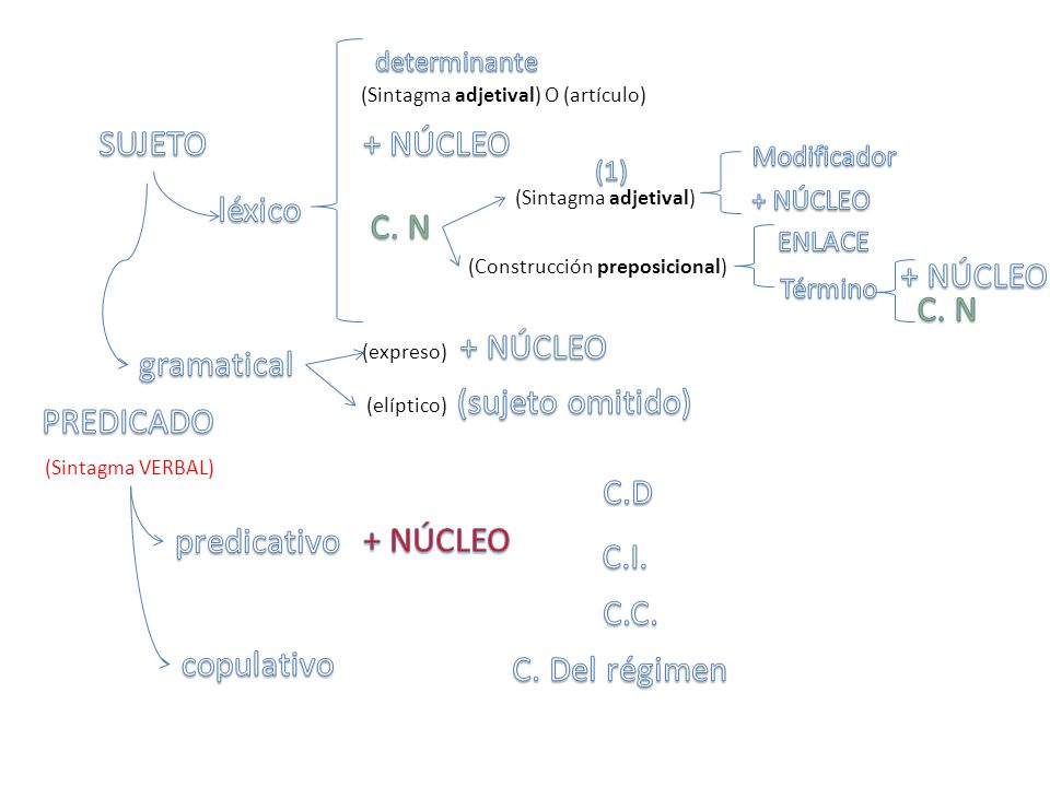 SUJETO + NÚCLEO léxico C. N + NÚCLEO C. N + NÚCLEO gramatical