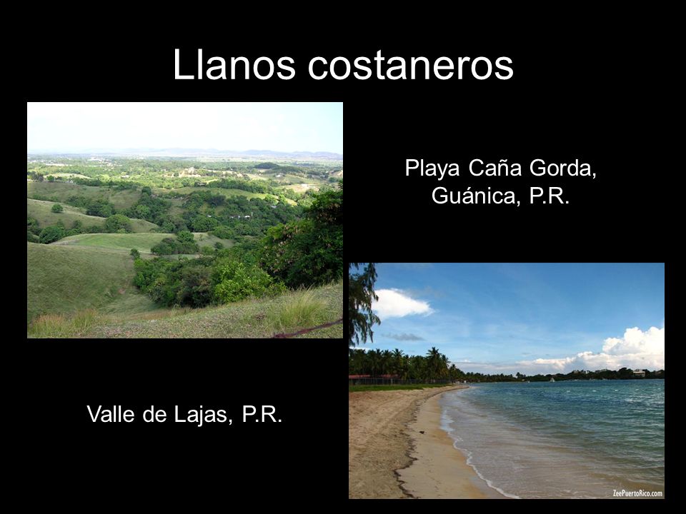 Llanos costaneros Playa Caña Gorda, Guánica, P.R. Valle de Lajas, P.R.