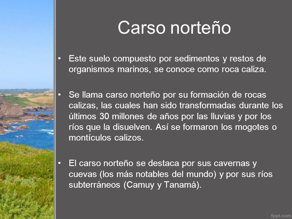 Carso norteño Este suelo compuesto por sedimentos y restos de organismos marinos, se conoce como roca caliza.