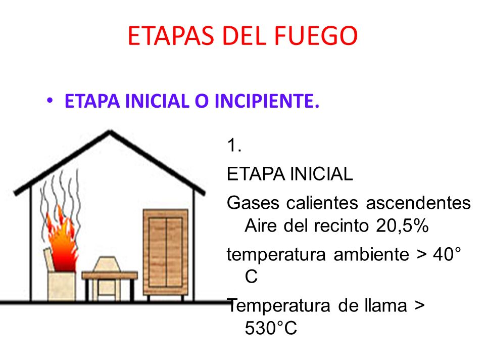 ETAPAS DEL FUEGO ETAPA INICIAL O INCIPIENTE. 1. ETAPA INICIAL