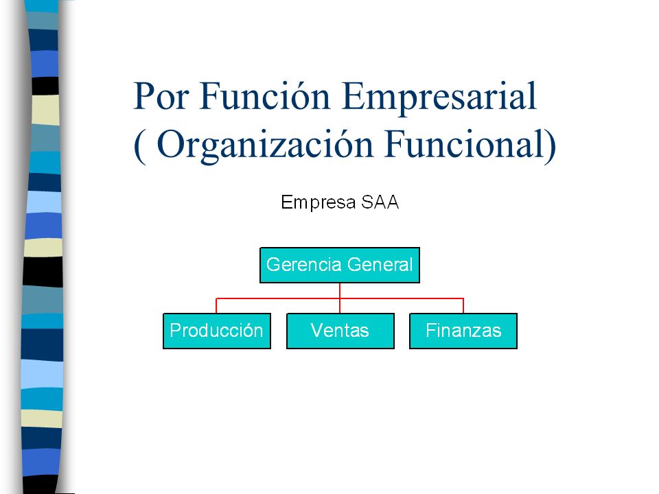 Por Función Empresarial ( Organización Funcional)
