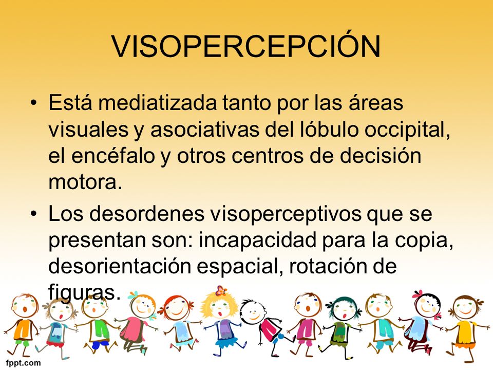 VISOPERCEPCIÓN Está mediatizada tanto por las áreas visuales y asociativas del lóbulo occipital, el encéfalo y otros centros de decisión motora.