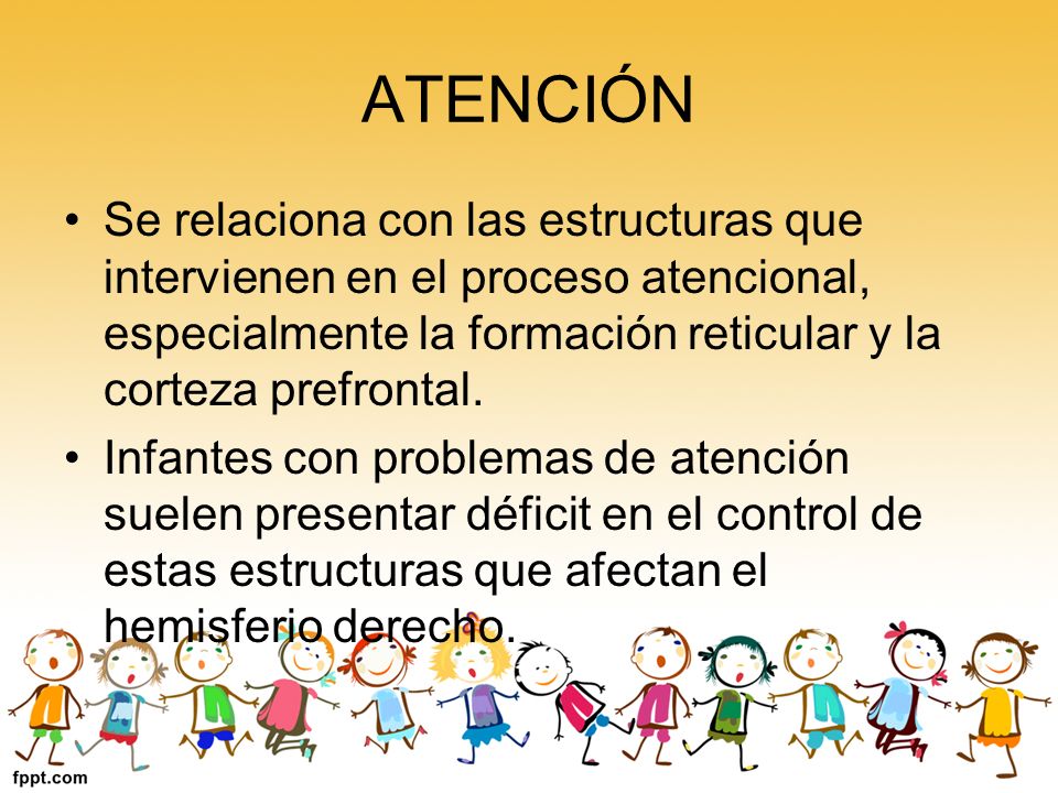 ATENCIÓN Se relaciona con las estructuras que intervienen en el proceso atencional, especialmente la formación reticular y la corteza prefrontal.