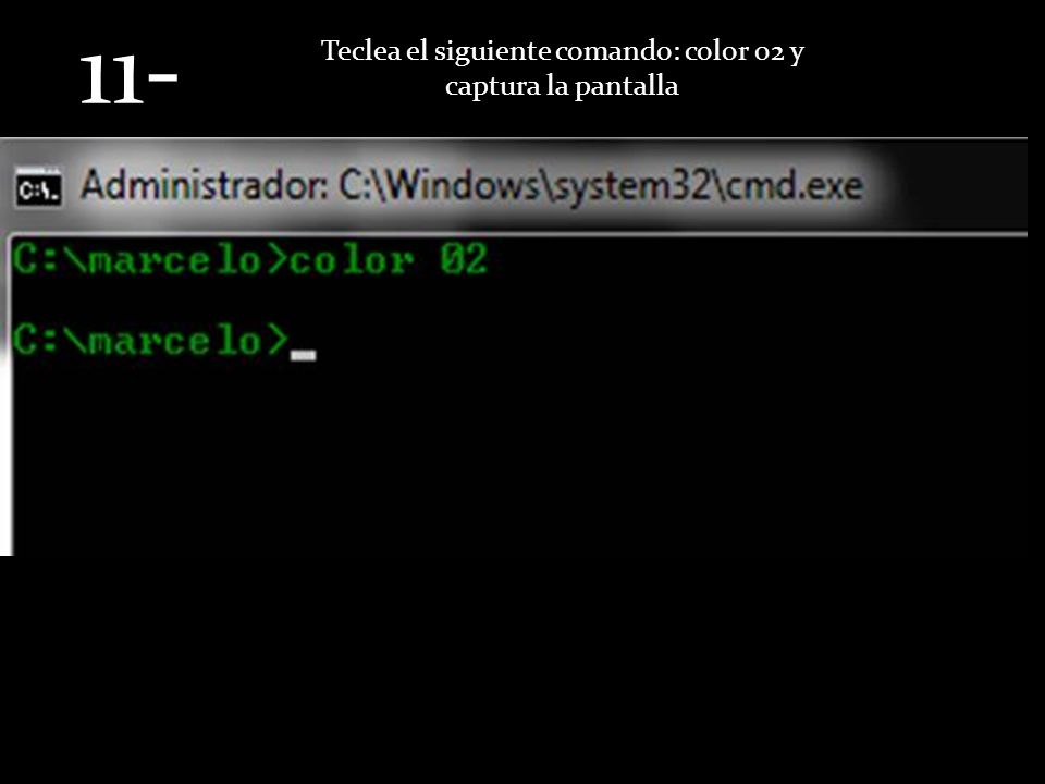 Teclea el siguiente comando: color 02 y captura la pantalla