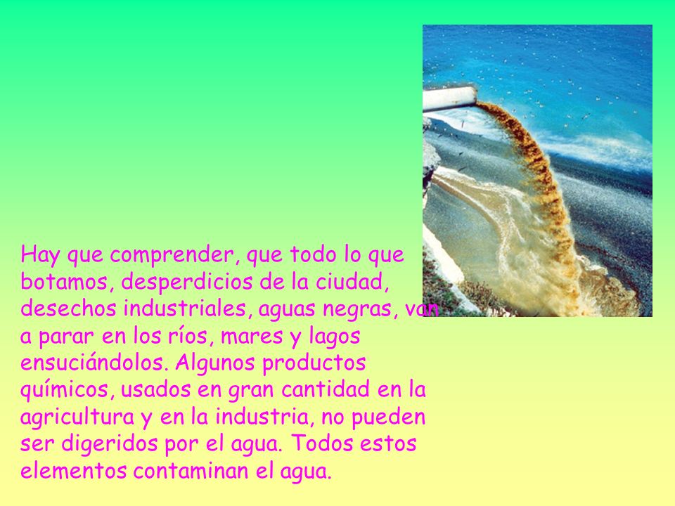 Hay que comprender, que todo lo que botamos, desperdicios de la ciudad, desechos industriales, aguas negras, van a parar en los ríos, mares y lagos ensuciándolos.