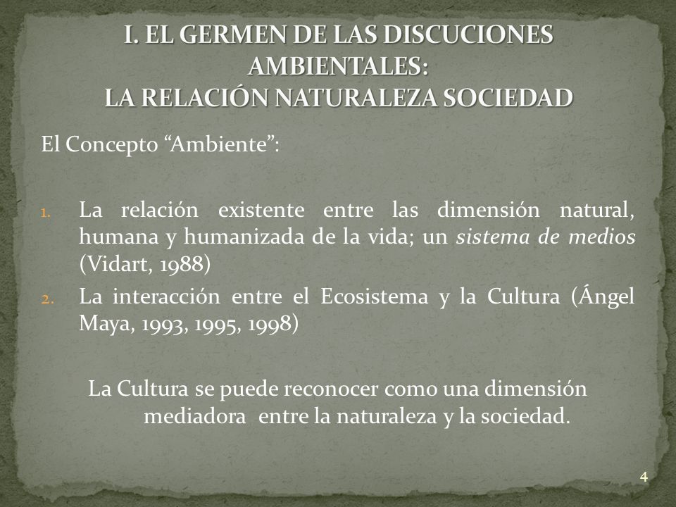 I. EL GERMEN DE LAS DISCUCIONES AMBIENTALES: LA RELACIÓN NATURALEZA SOCIEDAD