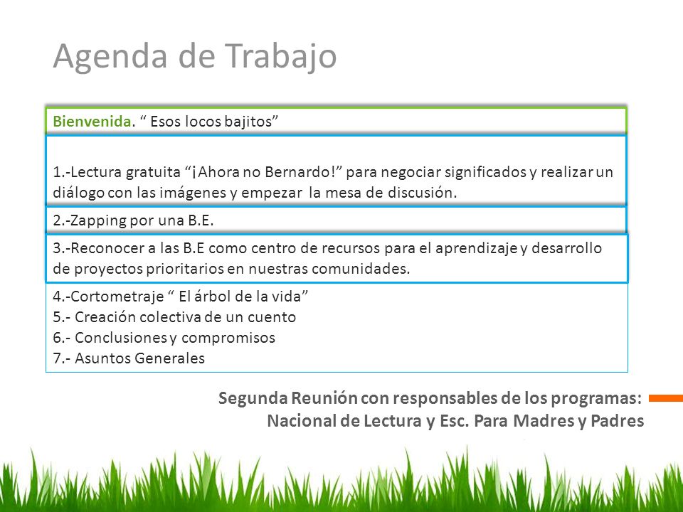 Agenda de Trabajo Segunda Reunión con responsables de los programas: