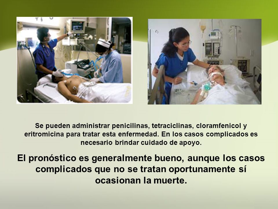 Se pueden administrar penicilinas, tetraciclinas, cloramfenicol y eritromicina para tratar esta enfermedad. En los casos complicados es necesario brindar cuidado de apoyo.