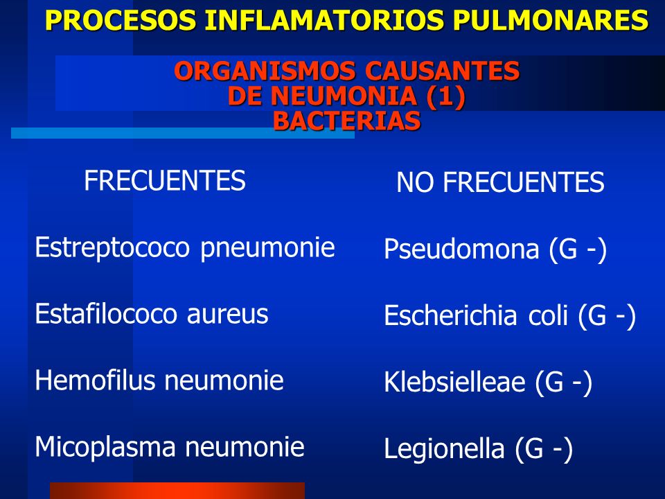 Estreptococo pneumonie Estafilococo aureus Hemofilus neumonie