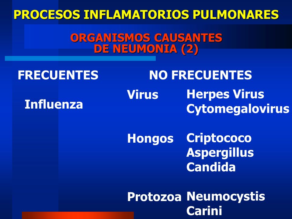 PROCESOS INFLAMATORIOS PULMONARES ORGANISMOS CAUSANTES DE NEUMONIA (2)