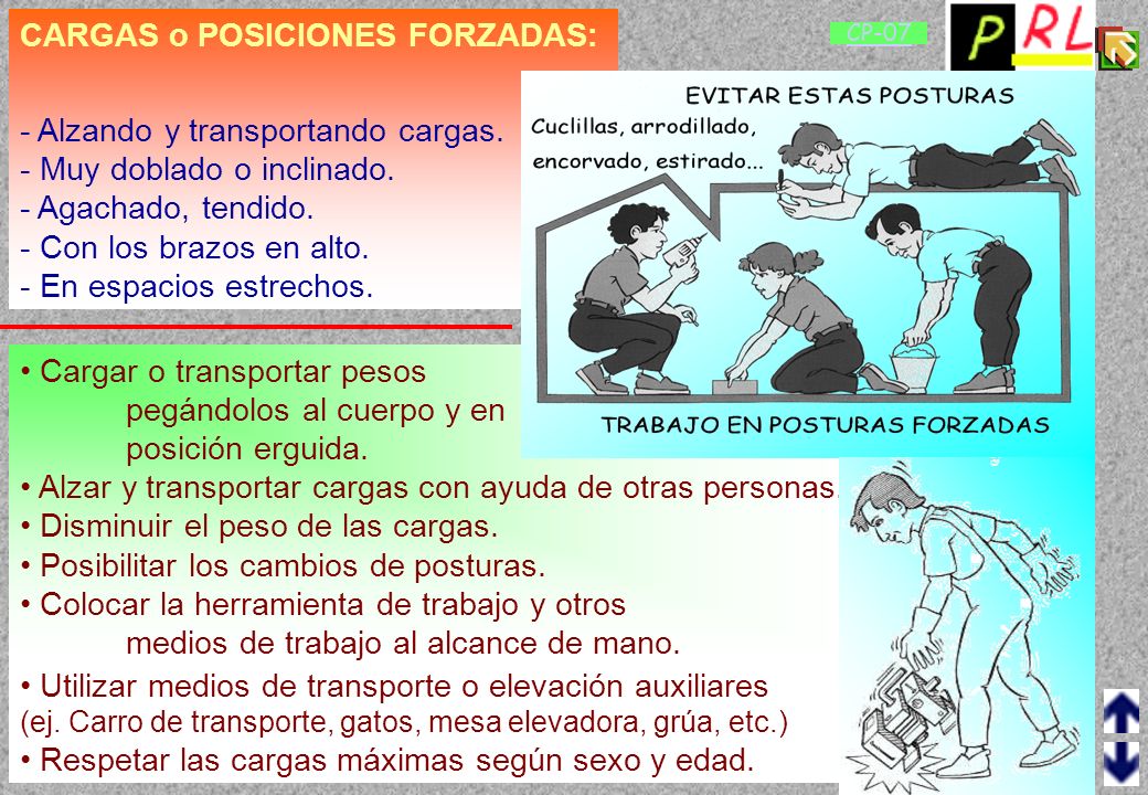 CARGAS o POSICIONES FORZADAS: - Alzando y transportando cargas.
