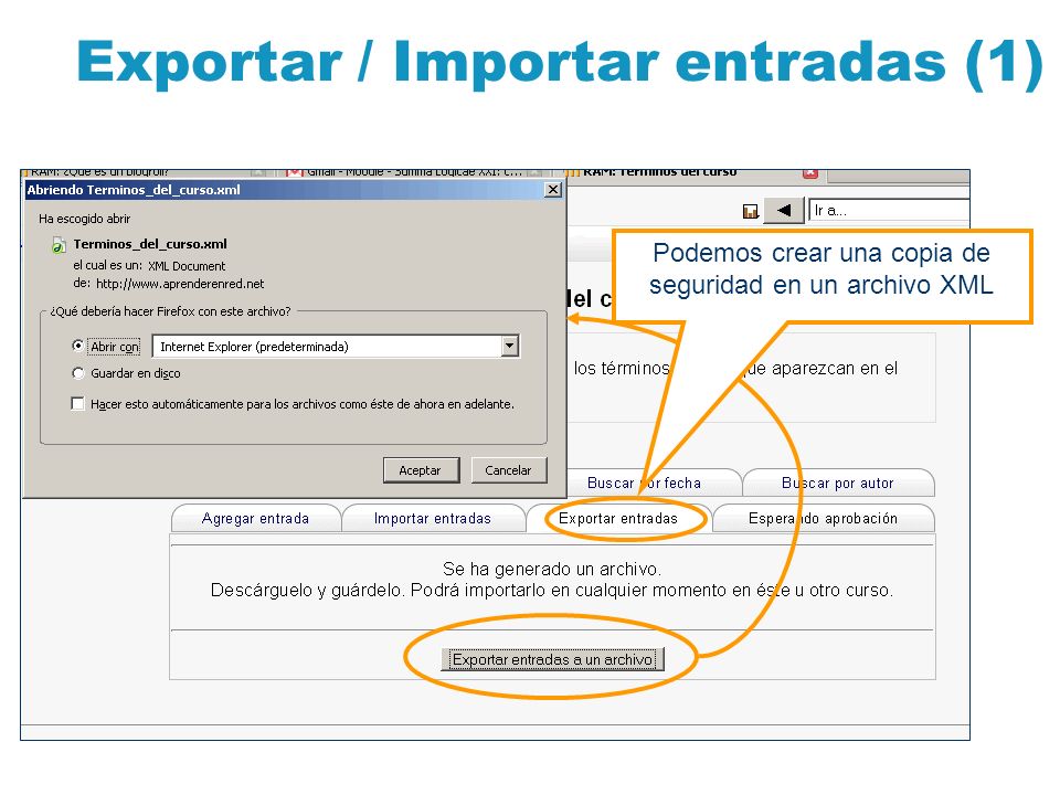Exportar / Importar entradas (1)