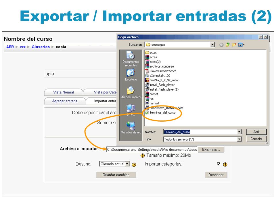 Exportar / Importar entradas (2)