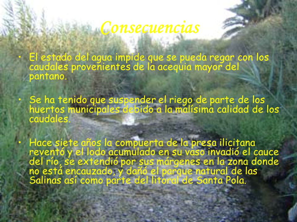 Consecuencias El estado del agua impide que se pueda regar con los caudales provenientes de la acequia mayor del pantano.