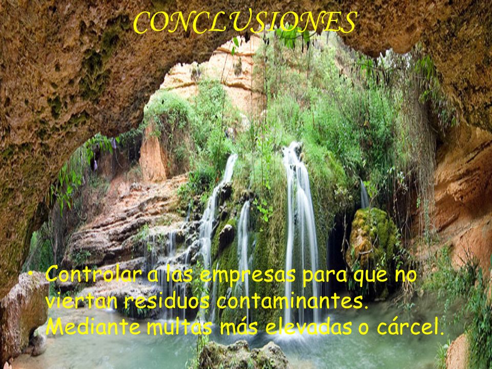 CONCLUSIONES Controlar a las empresas para que no viertan residuos contaminantes.