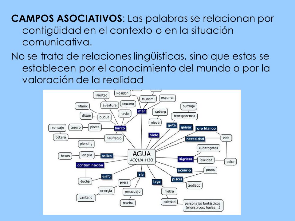 CAMPOS ASOCIATIVOS: Las palabras se relacionan por contigüidad en el contexto o en la situación comunicativa.