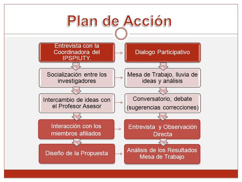 Plan de Acción Entrevista con la Coordinadora del IPSPIUTY.