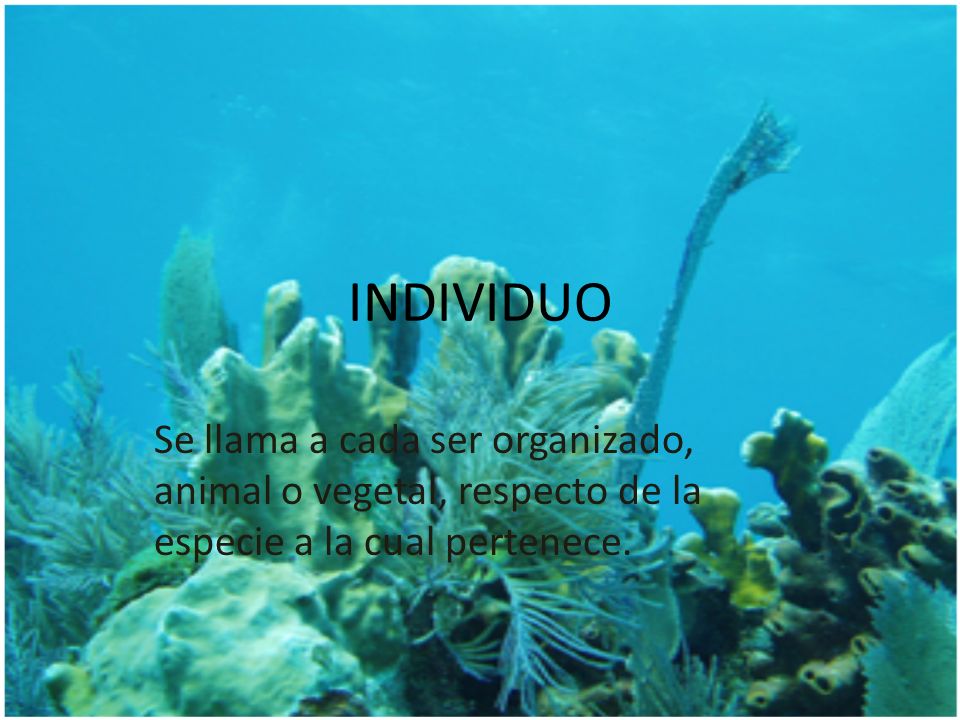 INDIVIDUO Se llama a cada ser organizado, animal o vegetal, respecto de la especie a la cual pertenece.