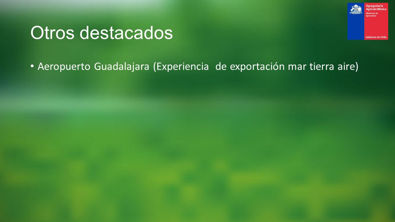 Otros destacados Aeropuerto Guadalajara (Experiencia de exportación mar tierra aire)
