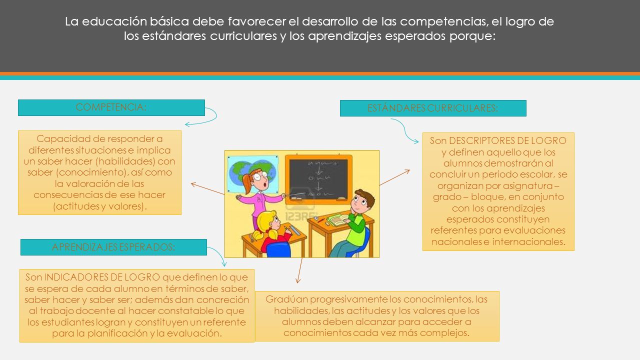 La educación básica debe favorecer el desarrollo de las competencias, el logro de los estándares curriculares y los aprendizajes esperados porque:
