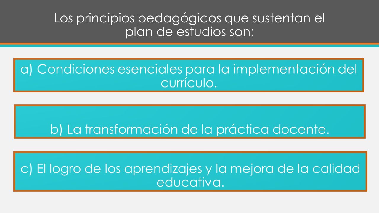 Los principios pedagógicos que sustentan el plan de estudios son: