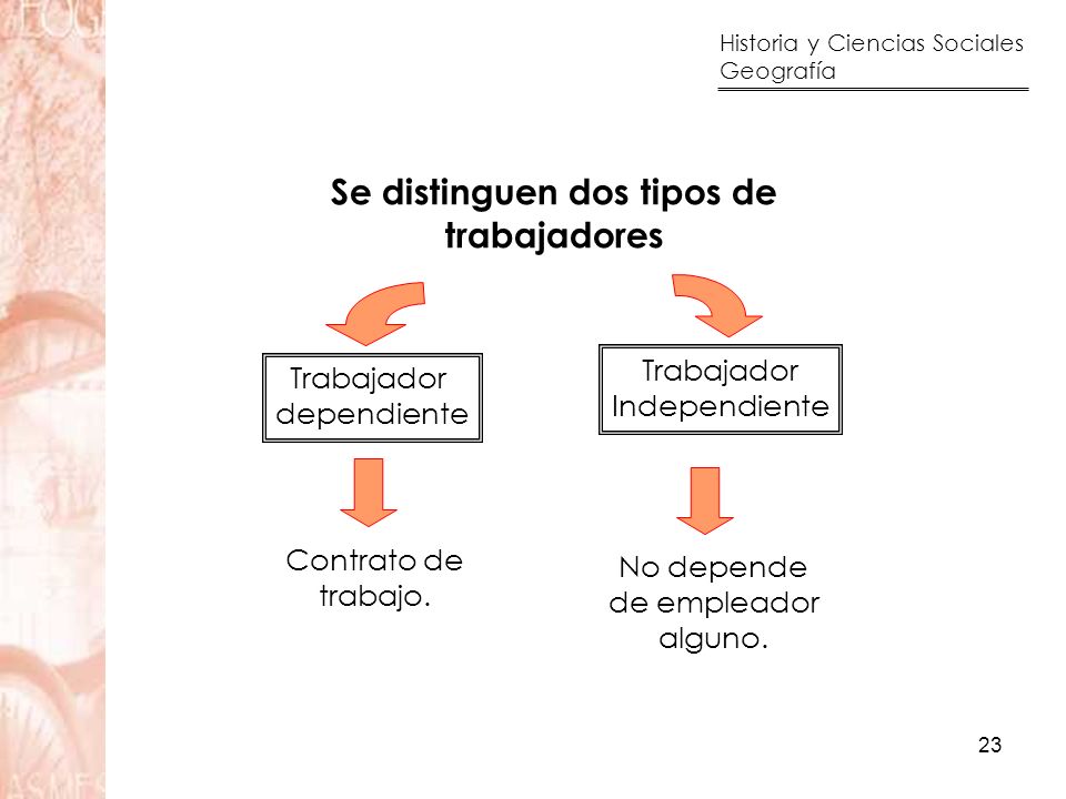 Se distinguen dos tipos de trabajadores