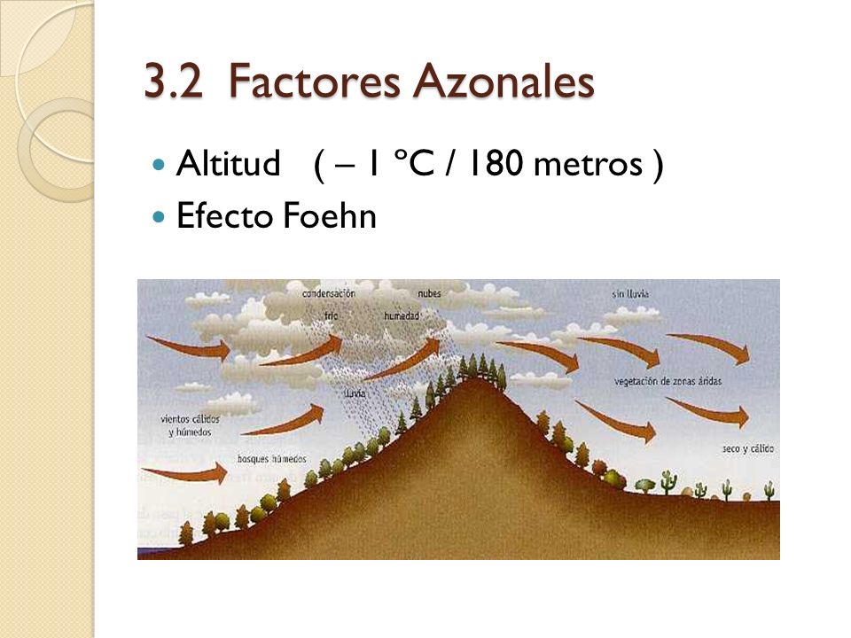 3.2 Factores Azonales Altitud ( – 1 ºC / 180 metros ) Efecto Foehn