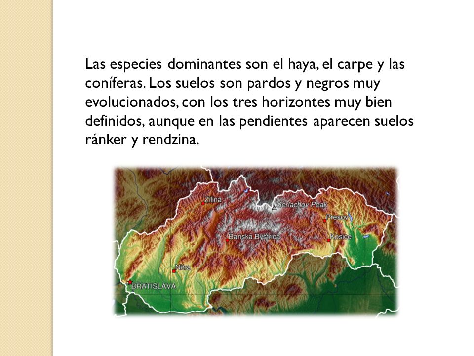 Las especies dominantes son el haya, el carpe y las coníferas